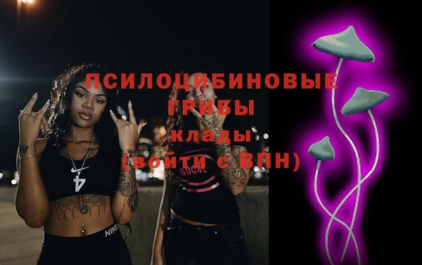 экстази Арсеньев