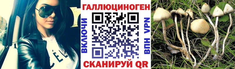 Псилоцибиновые грибы мухоморы  Белово 