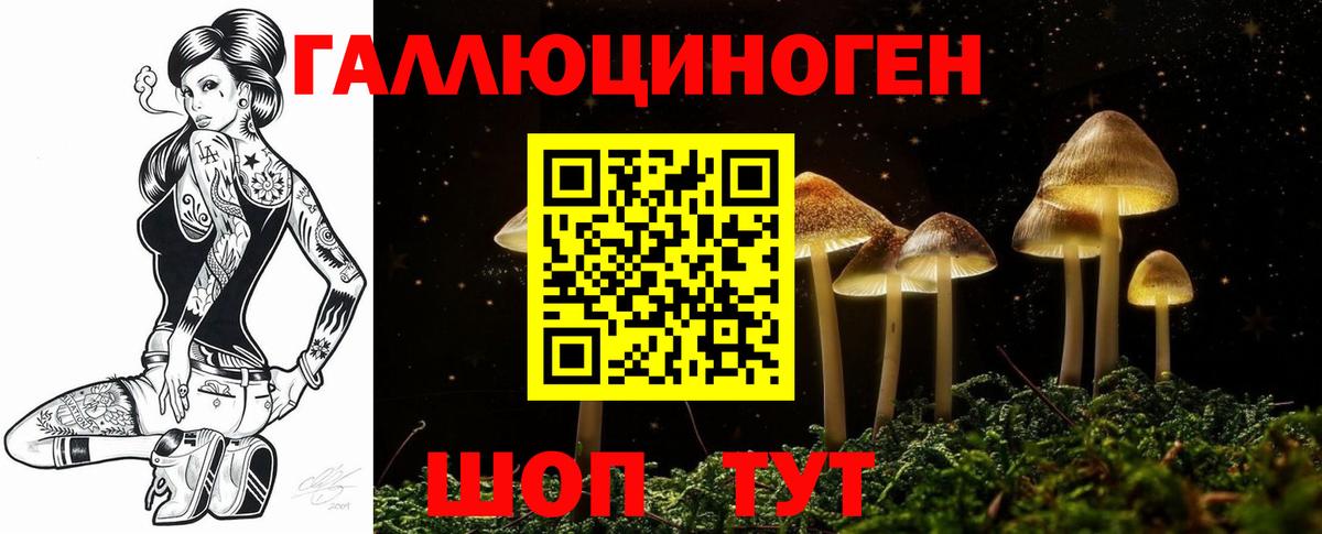 Псилоцибиновые грибы Magic Shrooms Белово